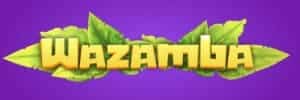 Melhor horário para jogar blaze double