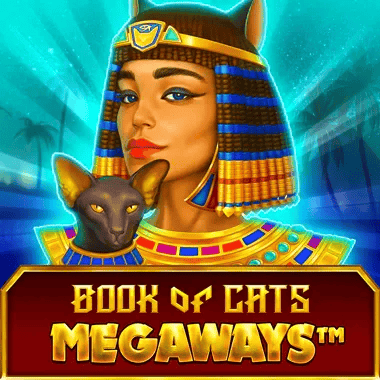 Slot Tournaments